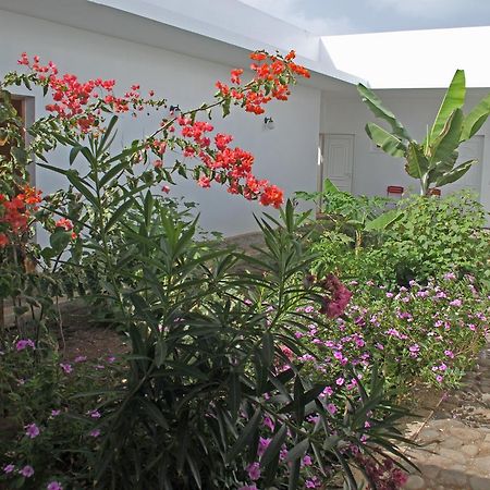Villa Sao Jose Pedra Badejo  Buitenkant foto
