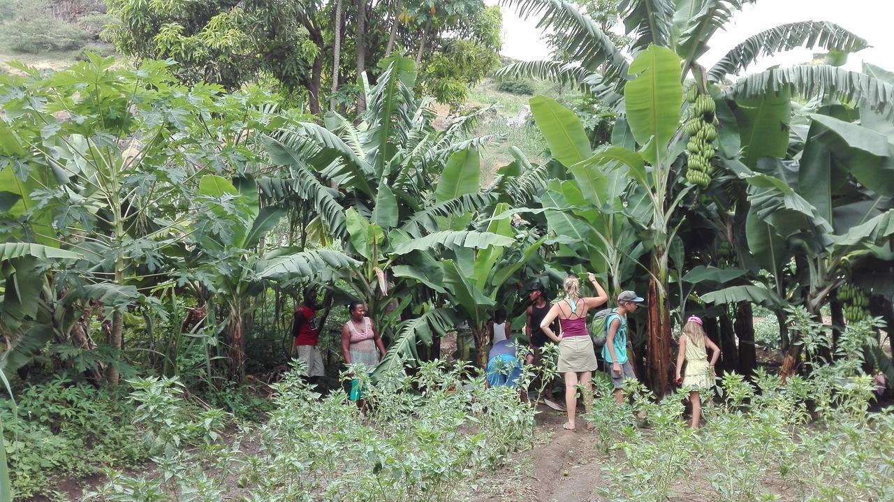 Villa Sao Jose Pedra Badejo  Buitenkant foto