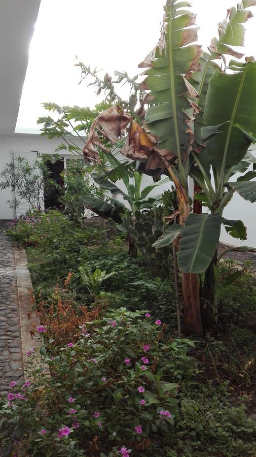 Villa Sao Jose Pedra Badejo  Buitenkant foto