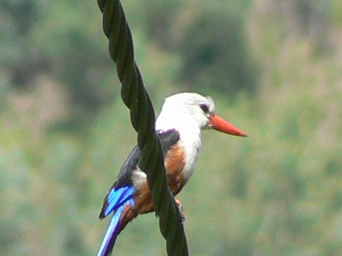 Villa Sao Jose Pedra Badejo  Buitenkant foto
